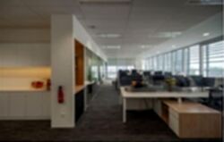 ONE GEORGE STREET (D1), Office #559778221